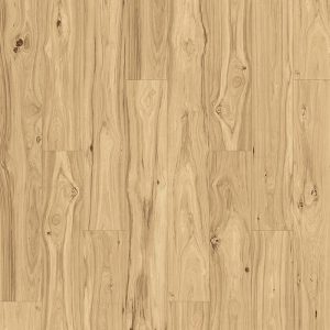 Appaloosa Hickory