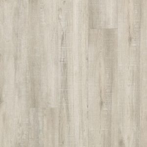 Lamb_s-Ear