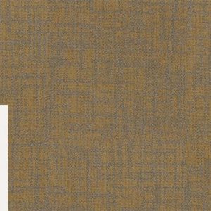Harmonized Size 24 in x 24 in