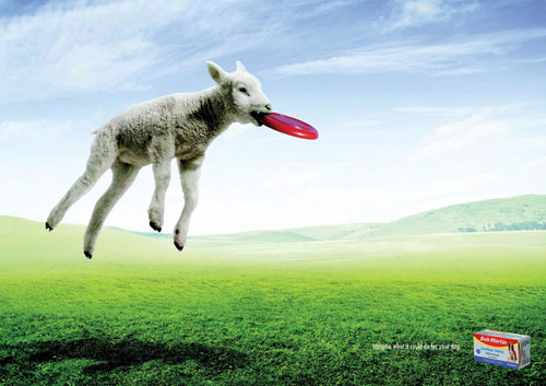 Bob-Martin-Imagine-what-it-could-do-for-your-dog 500 Creative And Cool Advertisement Ideas