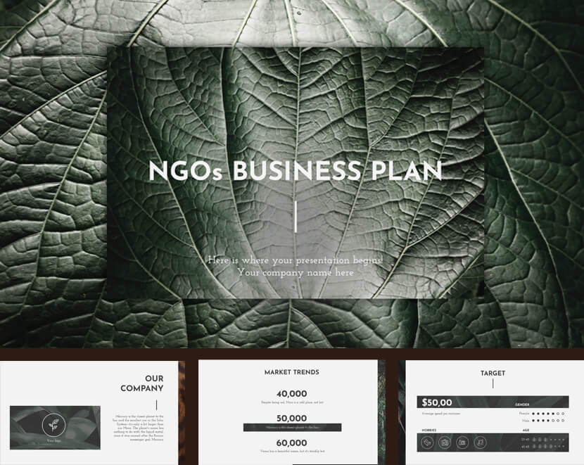 Presentación del plan de negocios de las ONG para Google Slides & Powerpoint